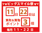 1122̓rbOX}CՁ|Cg3{I