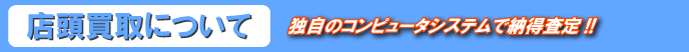 �X������|�Ǝ��̃R���s���[�^�V�X�e���Ŕ[������